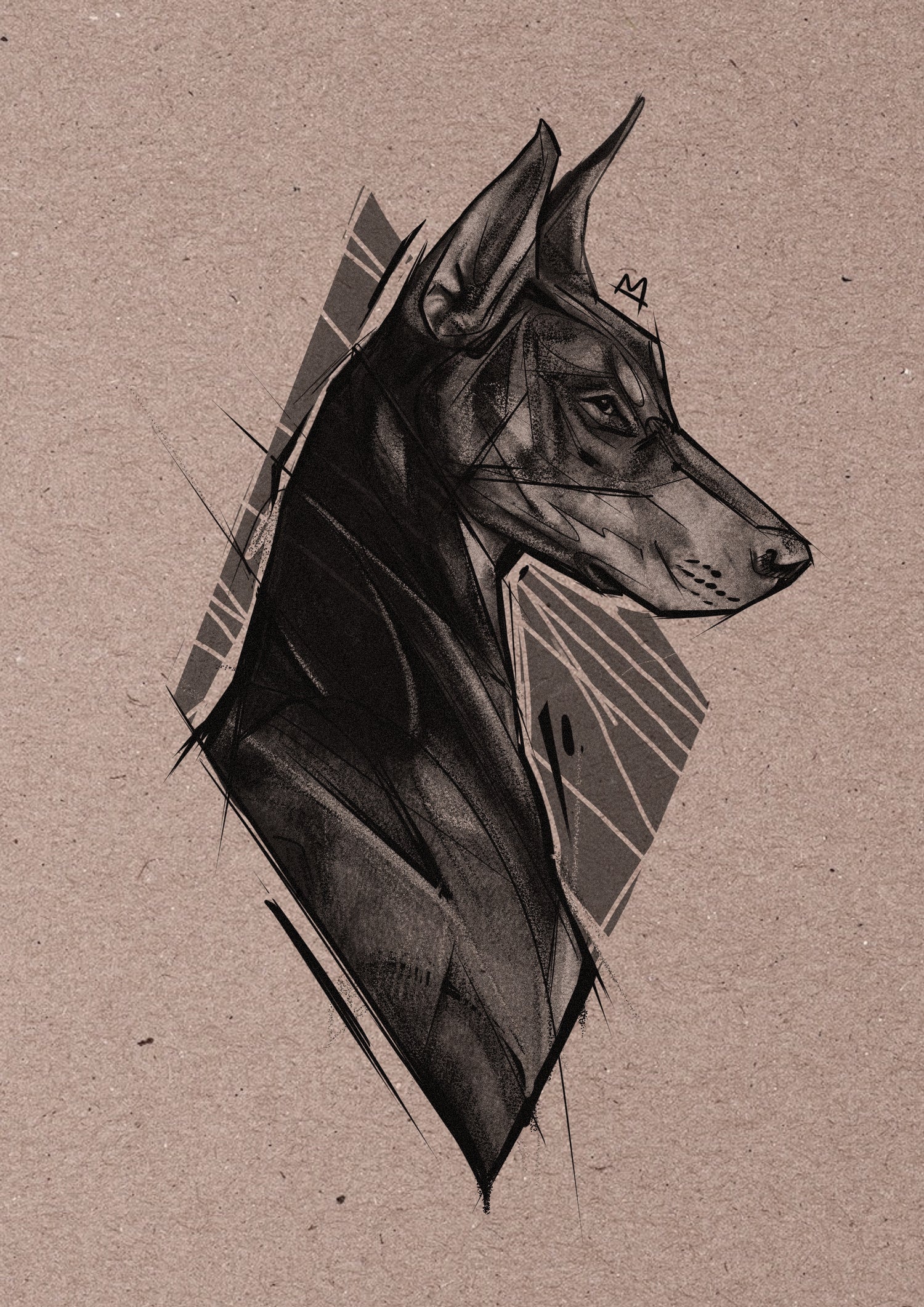 Dobermann