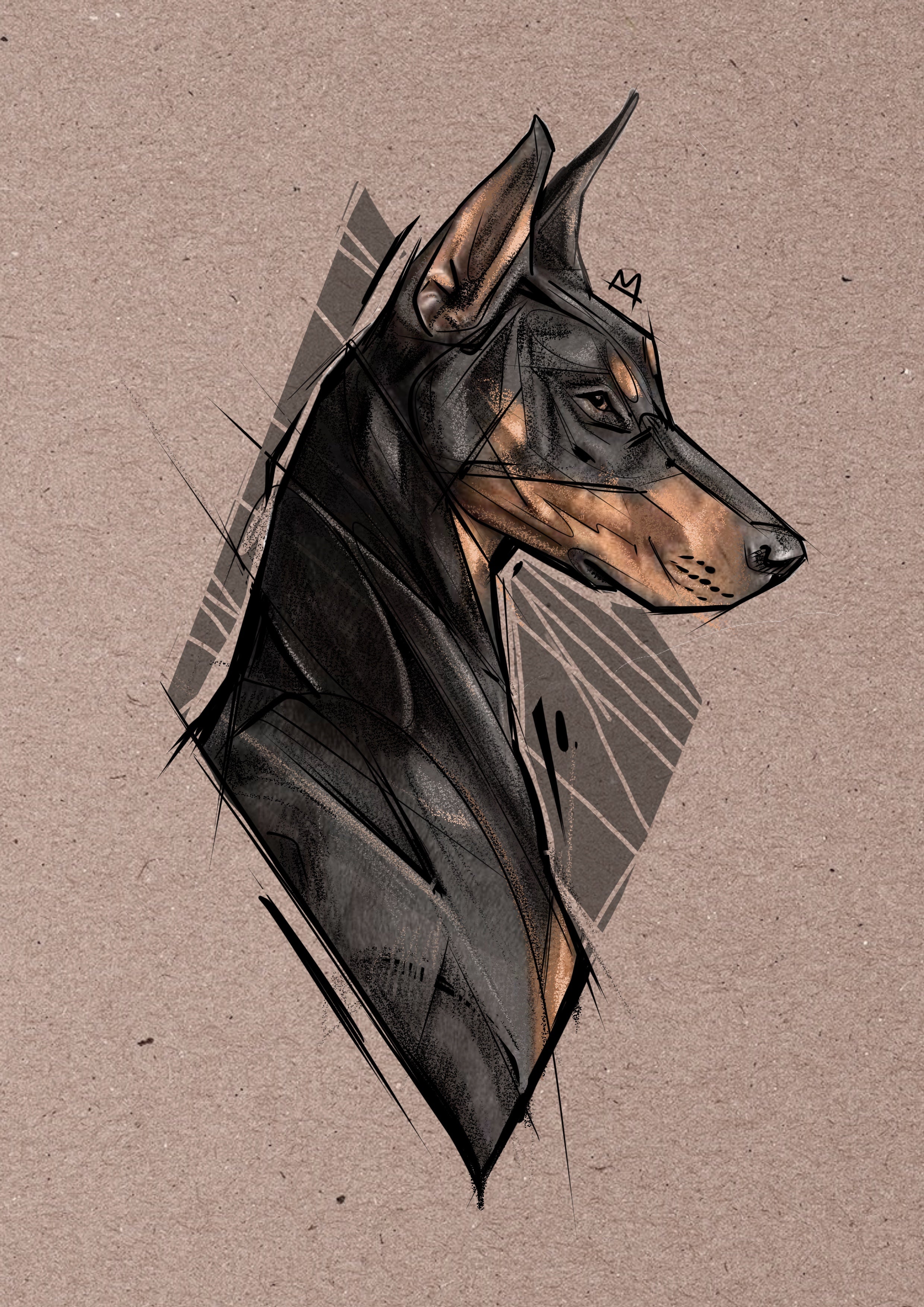 Dobermann