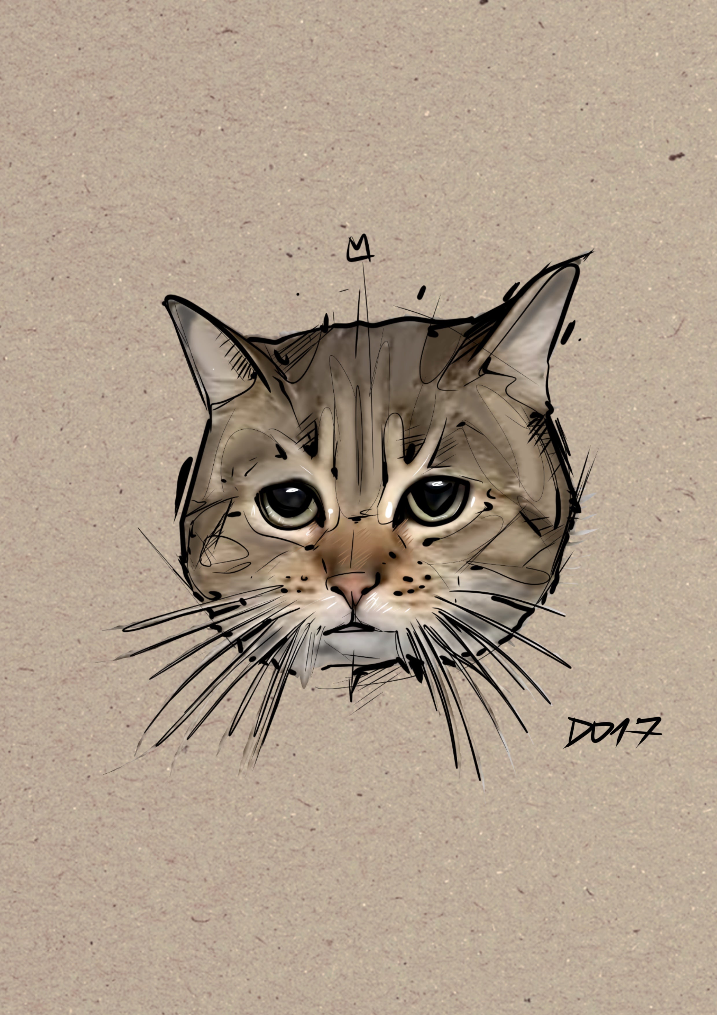 Dier d017