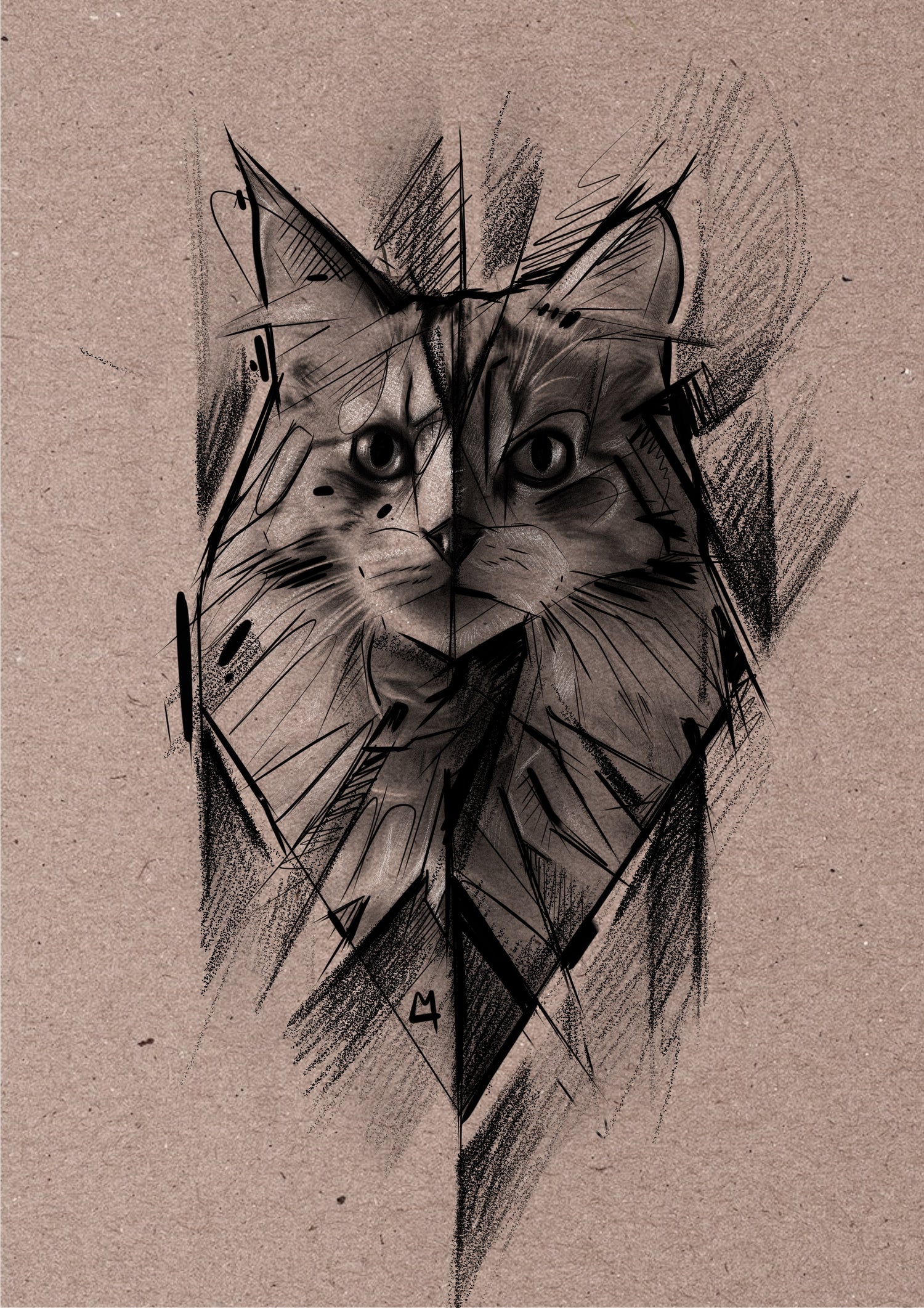 MaineCoon2